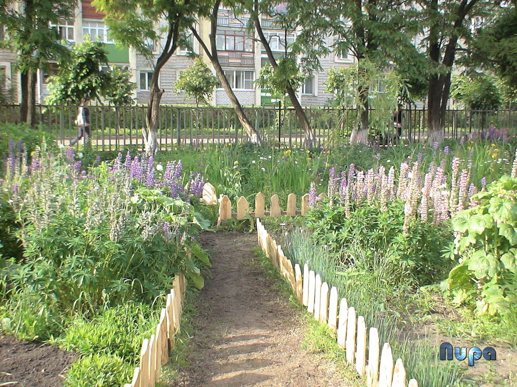 Пришкольный участок. Фотография 2006 года